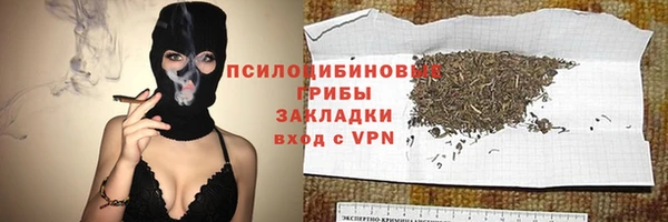 гашик Алексеевка