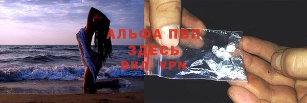 гашик Алексеевка