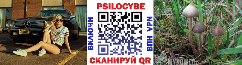 Псилоцибиновые грибы MAGIC MUSHROOMS MEGA сайт Завитинск