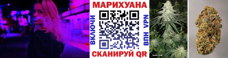 Шишки марихуана SATIVA & INDICA  что такое   Завитинск 